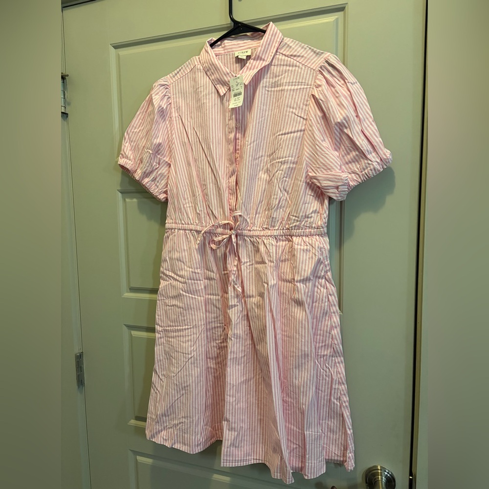 J.Crew Pink and White Striped Shirt Dress